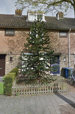 Opgesplitste woning Zwolle